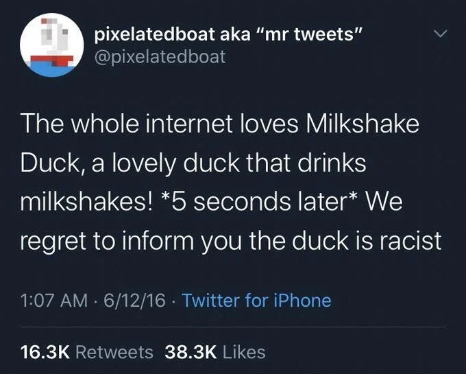 The whole Internet loves milkshake duck, a lovely duck the drinks milkshakes! *Five seconds later* we regret to inform you the duck is racist
