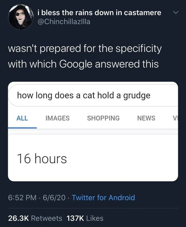 wasn’t prepared for the specificity with which google answered this

(google search result for “how long does a cat hold a grudge” with answer “16 hours”)