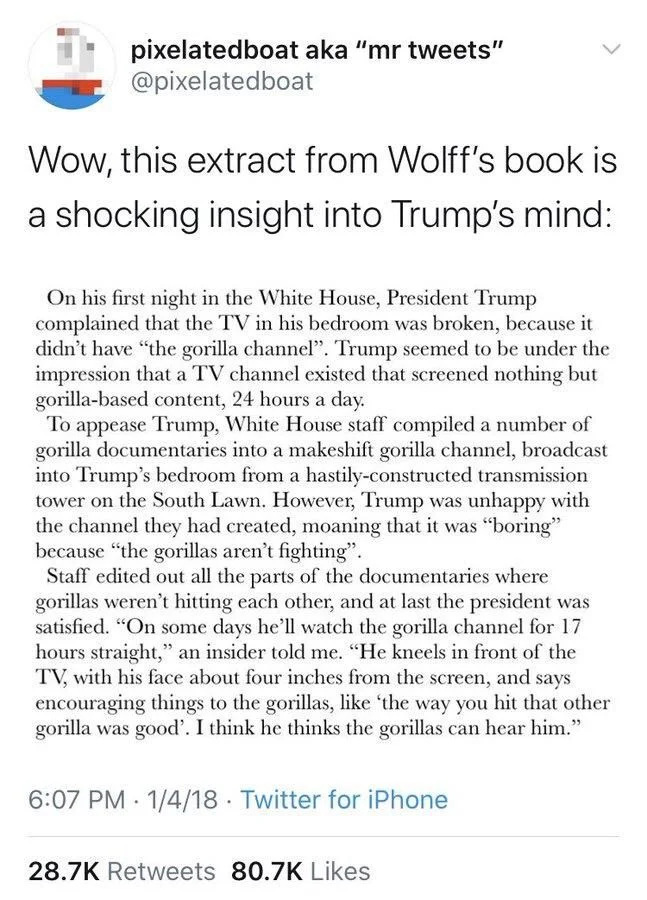 Wow, this extract from Wolff's book is a shocking insight into Trump's mind:
On his first night in the White House, President Trump complained that the TV in his bedroom was broken, because it didn't have "the gorilla channel". Trump seemed to be under the impression that a TV channel existed that screened nothing but gorilla-based content, 24 hours a day.
To appease Trump, White House staff compiled a number of gorilla documentaries into a makeshift gorilla channel, broadcast into Trump's bedroom from a hastily-constructed transmission tower on the South Lawn. However, Trump was unhappy with the channel they had created, moaning that it was "boring" because "the gorillas aren't fighting".
Staff edited out all the parts of the documentaries where gorillas weren't hitting each other, and at last the president was satisfied. "On some days he'll watch the gorilla channel for 17 hours straight," an insider told me. "He kneels in front of the TV, with his face about four inches from the screen, and says encouraging things to the gorillas, like 'the way you hit that other gorilla was good'. I think he thinks the gorillas can hear him."
6:07 PM 1/4/18 Twitter for iPhone
28.7K Retweets 80.7K Likes