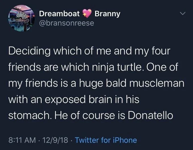 deciding which of me and my four friends are which ninja turtle. One of my friends is a huge bald muscle man with an exposed brain in his stomach. He of course is Donatello