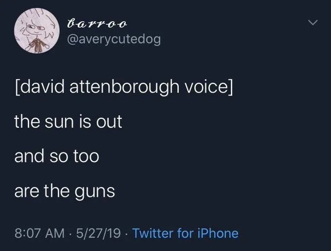 (David Attenborough voice)

the sun is out 

and so too

are the guns
