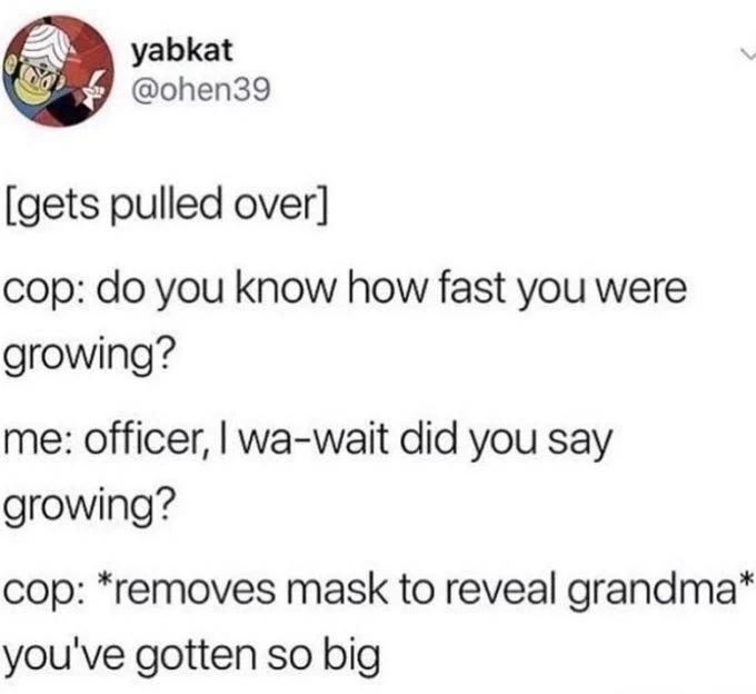 (Gets pulled over) 

Cop: do you know how fast you were growing?

Me: officer, I wa-wait did you say growing?

Cop: *removes mask to reveal grandma* you’ve gotten so big