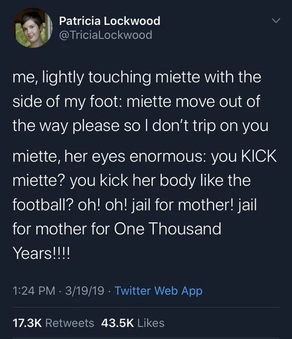 me, Lightly touching miette with the side of my foot: miette move out of the way please so I don’t trip on you

Miette, her eyes enormous: you KICK miette? You kick her body like the football? Oh! Oh! Jail for mother! Jail for mother for One Thousand Years!￼