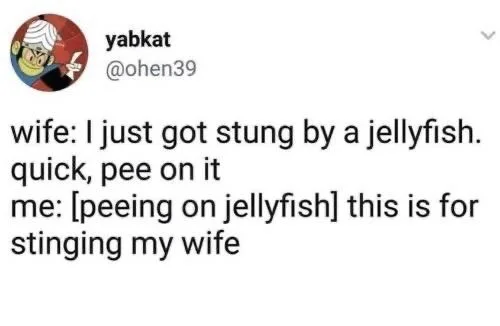 wife: I just got stung by a jellyfish, quick, pee on it

Me: [peeing on jellyfish] this is for stinging my wife