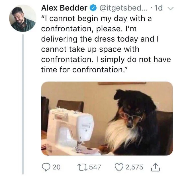 an annoyed looking dog wearing eyeglasses at a sewing machine saying, “ I cannot begin my day with a confrontation please, I’m delivering the dress today and I cannot take up space with confrontation. I simply do not have time for confrontation”