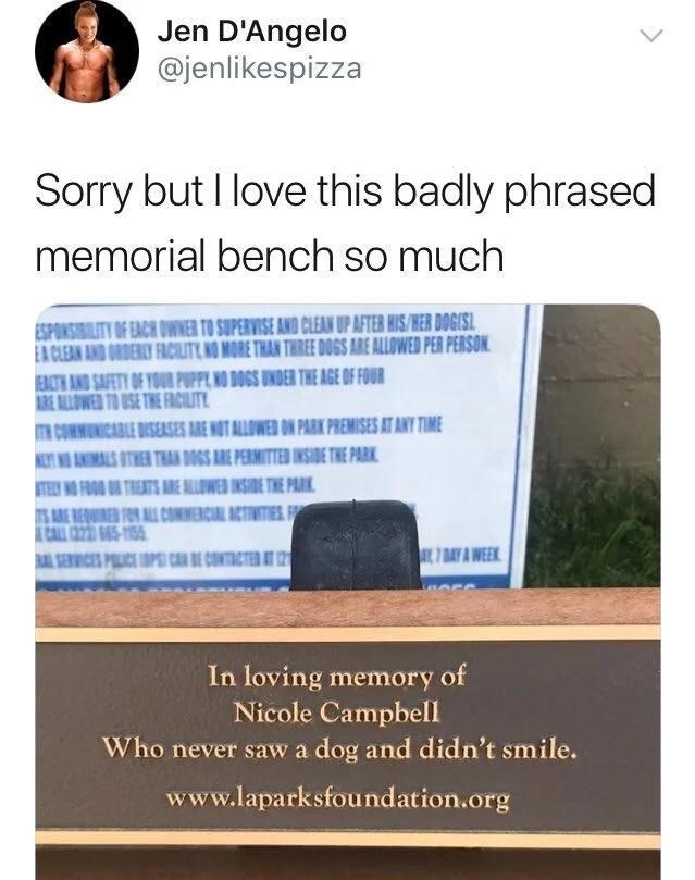 sorry but I love this badly phrased memorial bench so much: “in loving memory of Nicole Campbell who never saw a dog and didn’t smile”